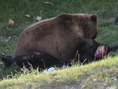 Συγκλονιστικές φωτογραφίες από την επίθεση αρκούδας στη Βέρνη
