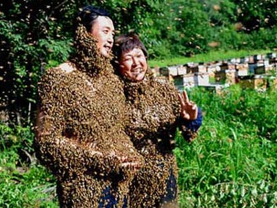 Παντρεύτηκαν με ευχές για βίο… «μελισσόσπαρτο»