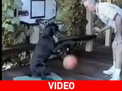 O… Michael Jordan των σκύλων