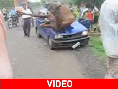 Η… εφτάψυχη καμήλα