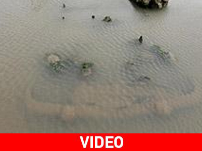 Η… ανάσταση ενός αυτοκινήτου