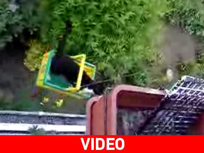 Γατο-ασανσέρ…