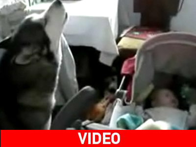 Το νανούρισμα… του λύκου Το νανούρισμα… του λύκου