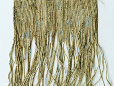 Προϊστορικές ίνες 34.000 ετών ανακαλύφθηκαν στη Γεωργία