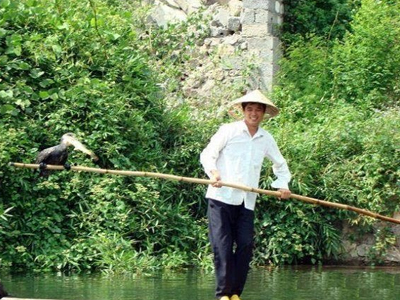 Ψαρεύοντας με… κορμοράνους