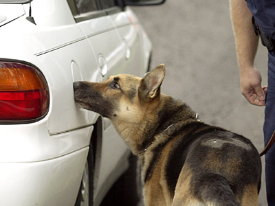 Σαράντα κιλά ηρωίνης κατασχέθηκαν στα σύνορα
