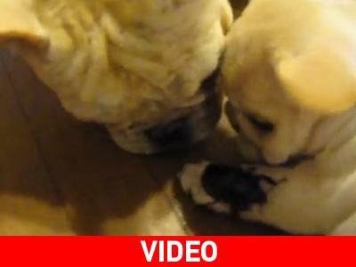 Πάρτο από πάνω μου!