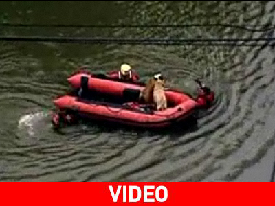 Water sports… στο κέντρο του Σικάγο