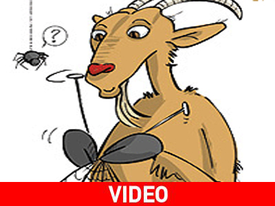 Ιστός αράχνης από… γάλα κατσίκας