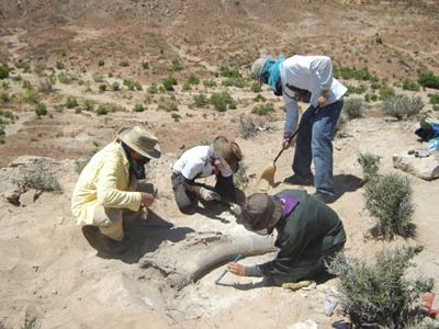 «Πηδώντας» ήρθαν οι δεινόσαυροι στην Ευρώπη