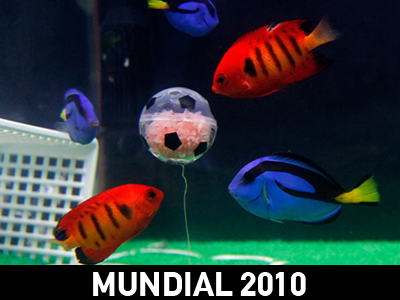 Μια φορά κάθε τέσσερα χρόνια…