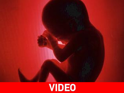«Το έμβρυο δεν νιώθει κανέναν πόνο πριν τις 24 εβδομάδες»
