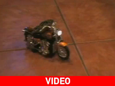 Ο βάτραχος… Renegade