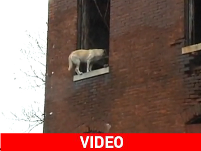 Όταν οι άνθρωποι φέρονται ως… άνθρωποι