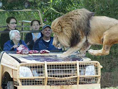 Πίσω και σας έφαγα…