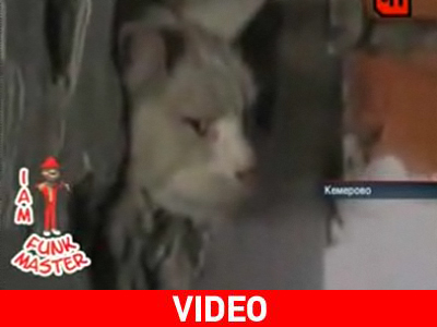 Ποιος θα βγάλει το… γάτο από την τρύπα;