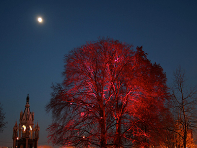 Το φεστιβάλ του φωτός στο Durham