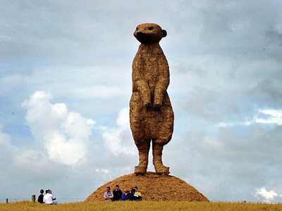 Μια σουρικάτα ύψους δέκα μέτρων!