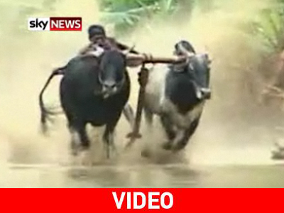 Καβάλα πάν’ στο φεστιβάλ…