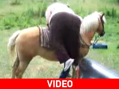 «Βαριά και ανθυγιεινά»… για ένα ταλαίπωρο άλογο