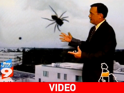 Η αράχνη θα είναι νεφελώδης…