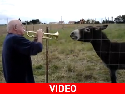 Ένας άντρας, μια τρομπέτα, ένας γάιδαρος και πολύ… τραγούδι