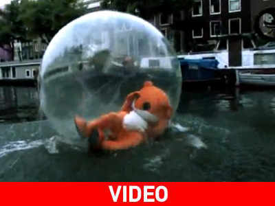 Καλώς ήλθατε στο… Χάμστερνταμ