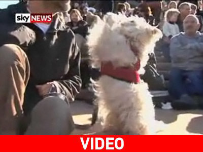 Σκυλιά τραγουδάνε στην όπερα του Σίδνεϊ