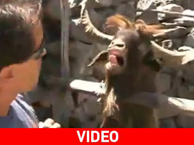 Ποια είναι η γνώμη σας για τους πολιτικούς;