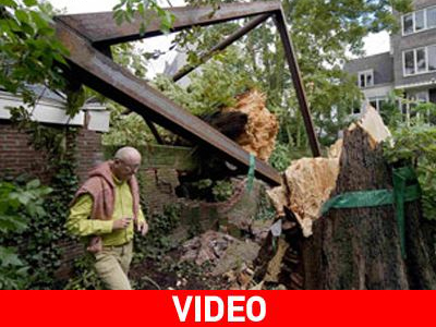 Ο αέρας έριξε το δέντρο της Άννας Φρανκ