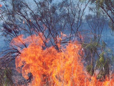 Υπό έλεγχο η πυρκαγιά στα Μέγαρα