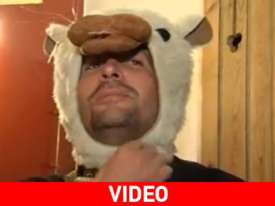 Ζήστε μια βραδιά σαν… τρωκτικό