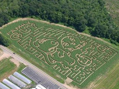 Ένας «οικογενειακός» λαβύρινθος