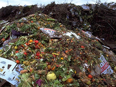 Στα σκουπίδια καταλήγει πάνω από το 30% των τροφίμων