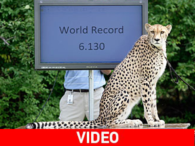 Ο Usain Bolt είναι πολύ… αργός