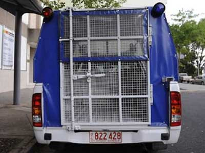 Σεξ στην κλούβα της αστυνομίας