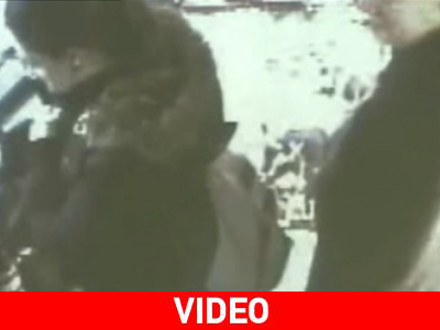 Κατσίκες παίρνουν… το λεωφορείο