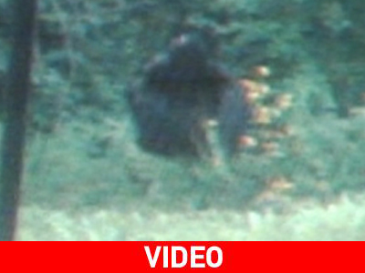 Κάμερα «κατέγραψε» το θρυλικό… Bigfoot;