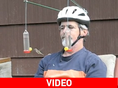 Το κράνος-ταΐστρα για πουλιά