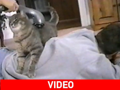 Άντρες και γάτες μοιάζουν πολύ τελικά… Άντρες και γάτες μοιάζουν πολύ τελικά…