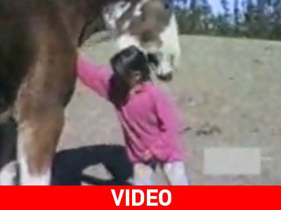 Μην… τσαντίζετε τα άλογα