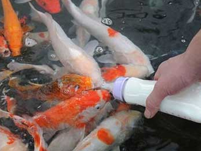 Και του… ψαριού το γάλα