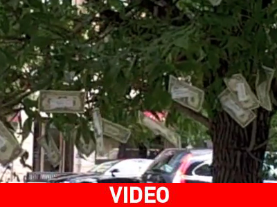 Σκεφτείτε τα λεφτά να φύτρωναν στα δέντρα…