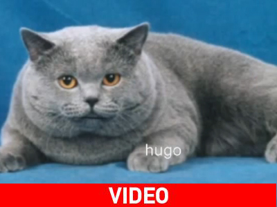 Η ιστορία του Lost μέσα σε 1’ 10’’