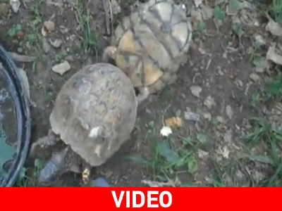 Θέμα προτεραιοτήτων…