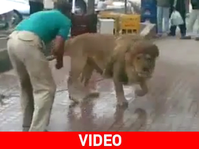 Να και ένας που πλένει το λιοντάρι του στον δρόμο