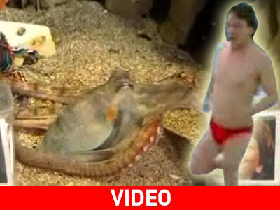 Ο ξάδερφος του Πολ και ο κύριος με το κόκκινο μαγιό