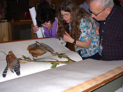 Ποιο είναι το πιο ακριβό βιβλίο στον κόσμο;