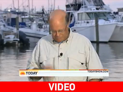 Ρεπόρτερ τρώει ζωύφιο σε απευθείας μετάδοση