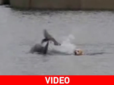 Δύο αταίριαστοι ταιριαστοί φίλοι